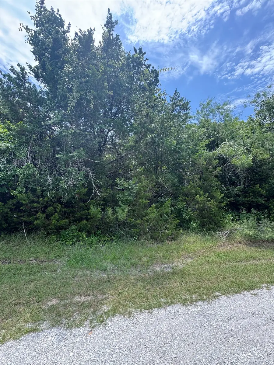 12208 Rolling Oaks Drive, Whitney, TX 76692 - #2