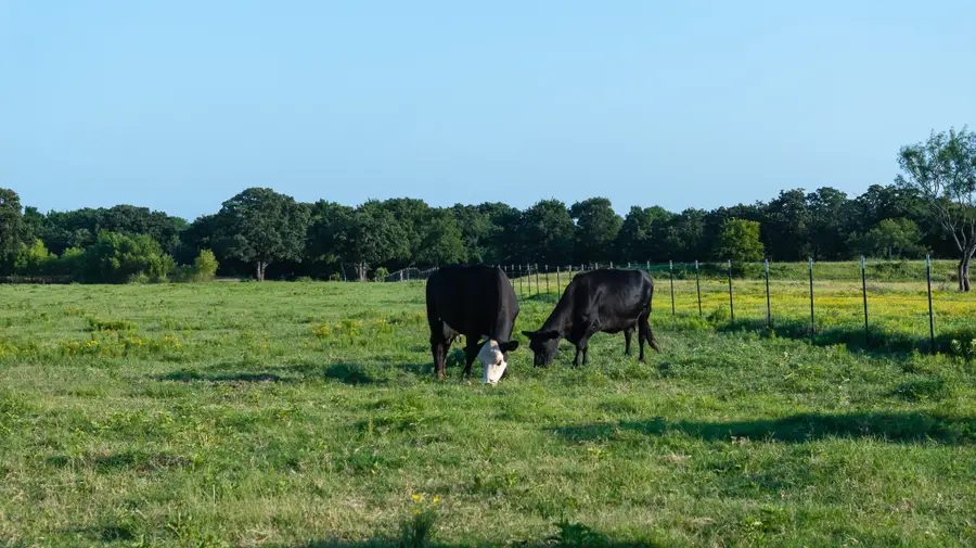 400 Smith Ranch Road, Collinsville, TX 76233 - #2