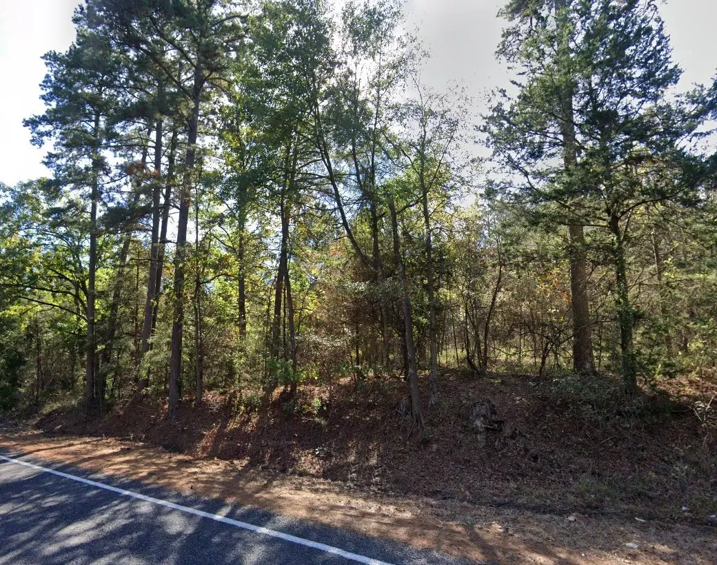 TBD Fm 852, Winnsboro, TX 75494 - #1