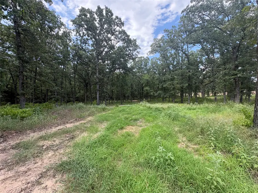 TBD Pvt 5948 Road #23, Yantis, TX 75765 - #2