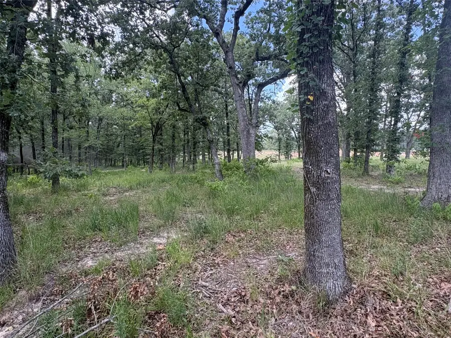 TBD Pvt 5948 Road #23, Yantis, TX 75765 - #3