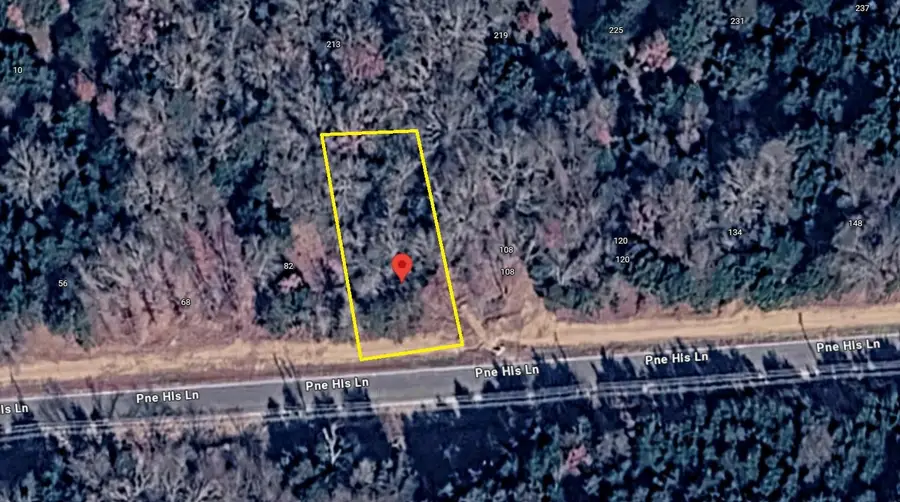 96 Pine Hills Lane, Gordonville, TX 76245 - #2