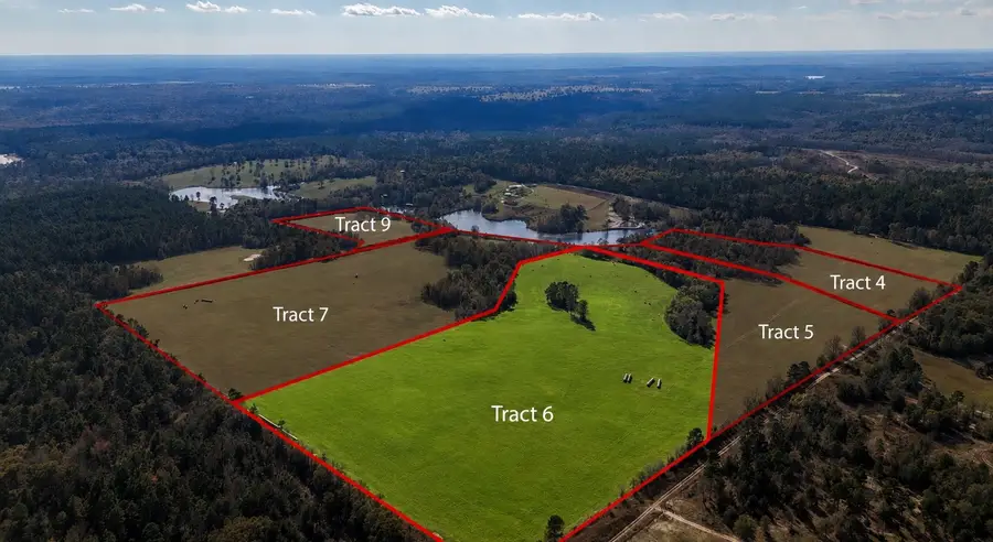 1040 County Road 3590, Winnsboro, TX 75494 - #2