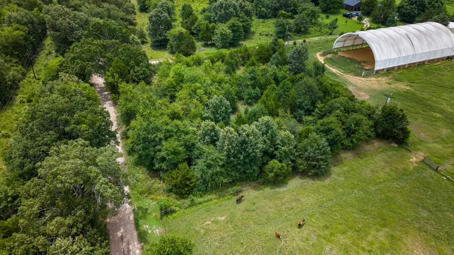 815 County Road 3611, Edgewood, TX 75117 - #2