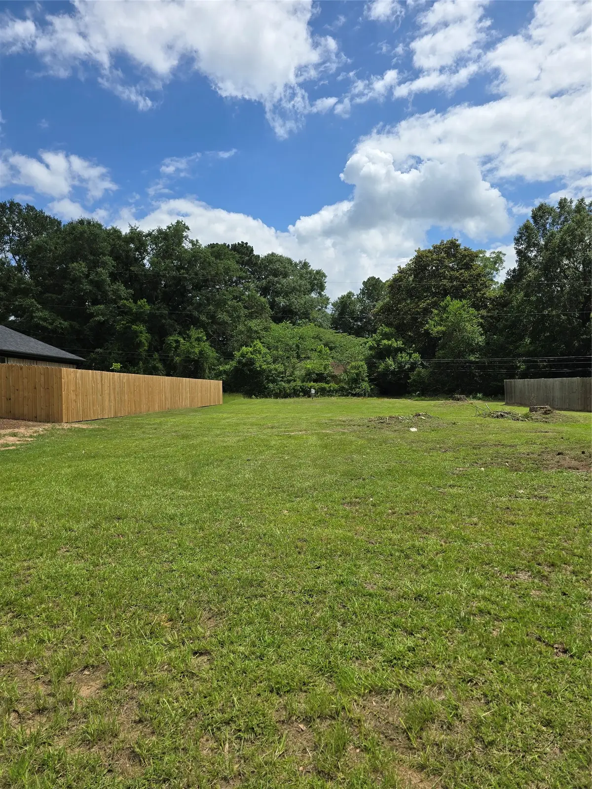403 Campbell Street, Daingerfield, TX 75638 - #1