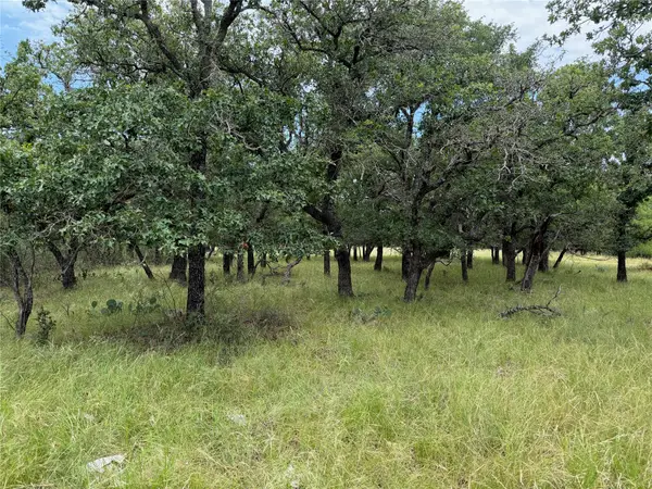 32 Oak Bluff Circle, May, TX 76857