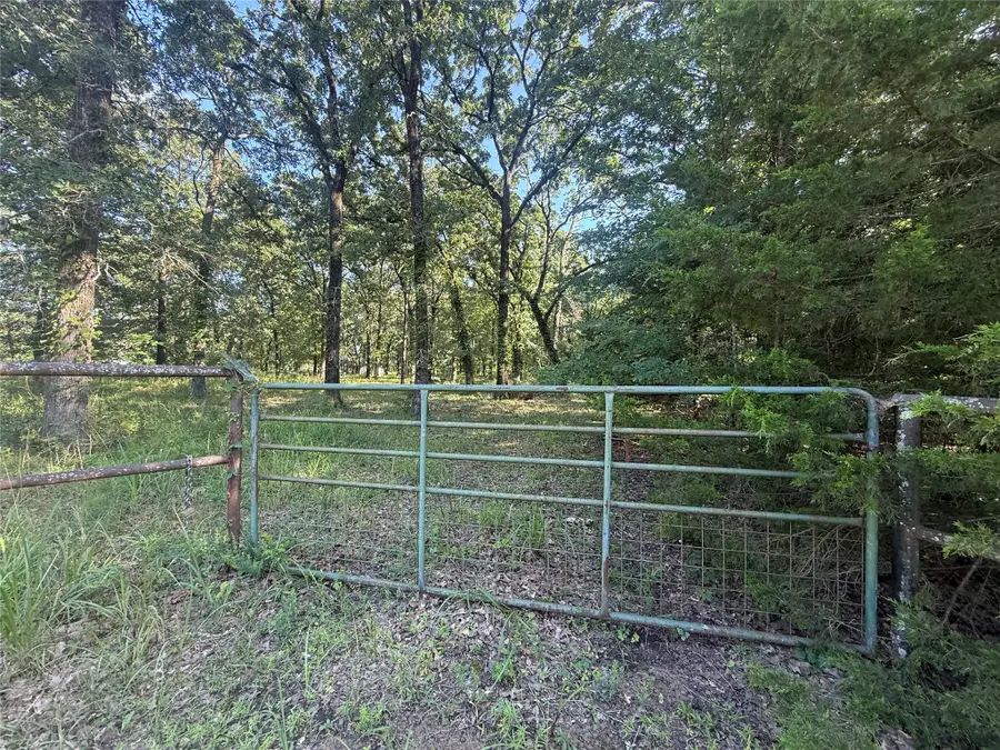 000 Cr 2418, Honey Grove, TX 75446 - #2