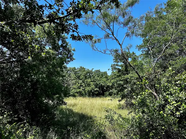 TBD County Road 409, Cisco, TX 76437