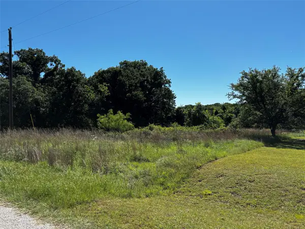 0 N Sandpiper Drive, Weatherford, TX 76088