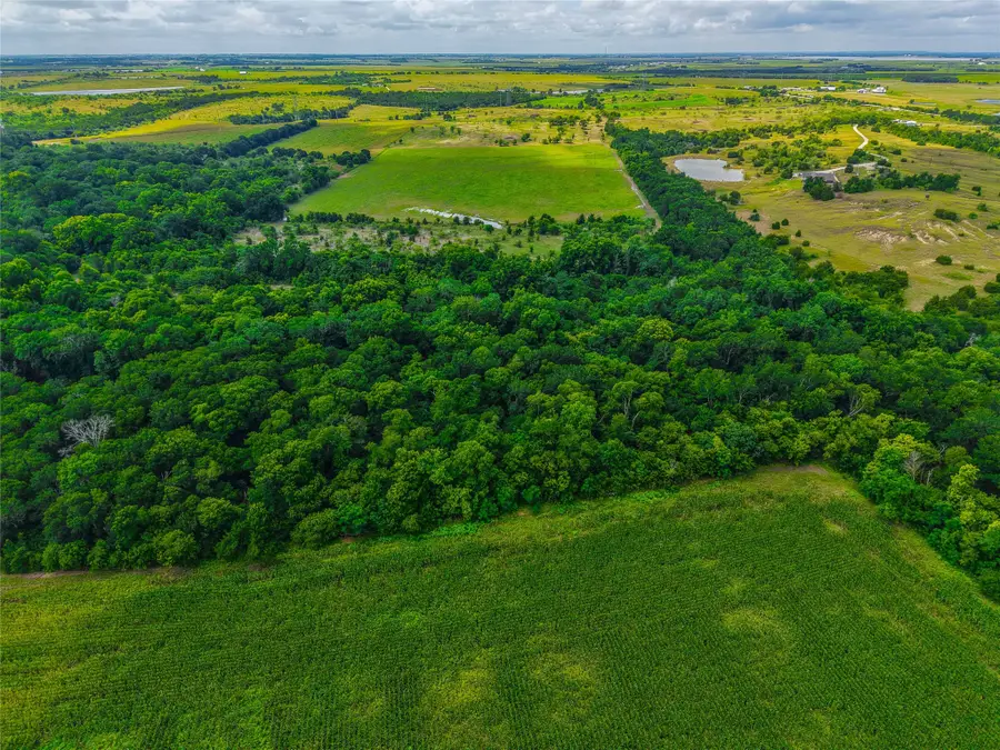 524 County Road 453, Troy, TX 76579 - #3