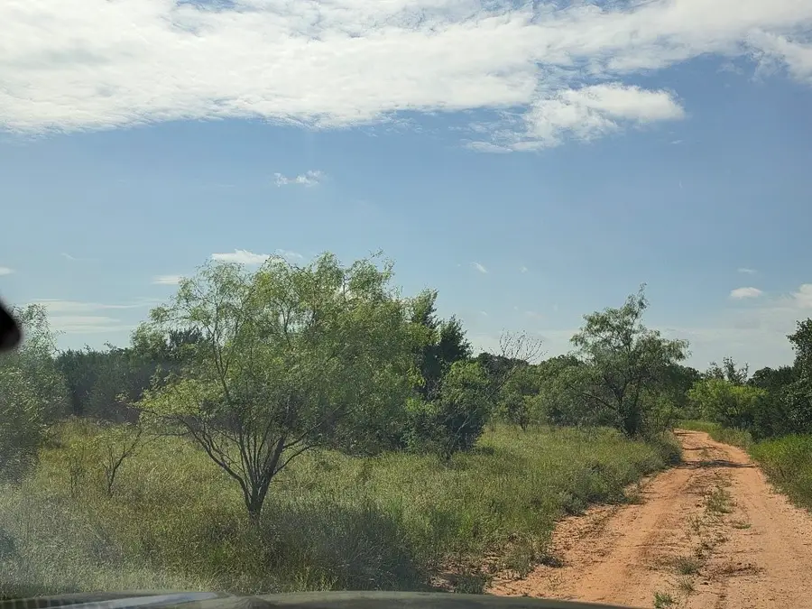 0001 County Road 2225, Iredell, TX 76649 - #3
