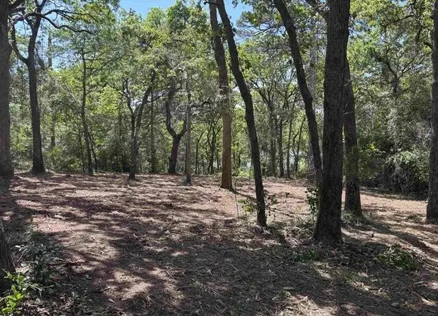514 Dogwood Lane, Hideaway, TX 75771 - #2