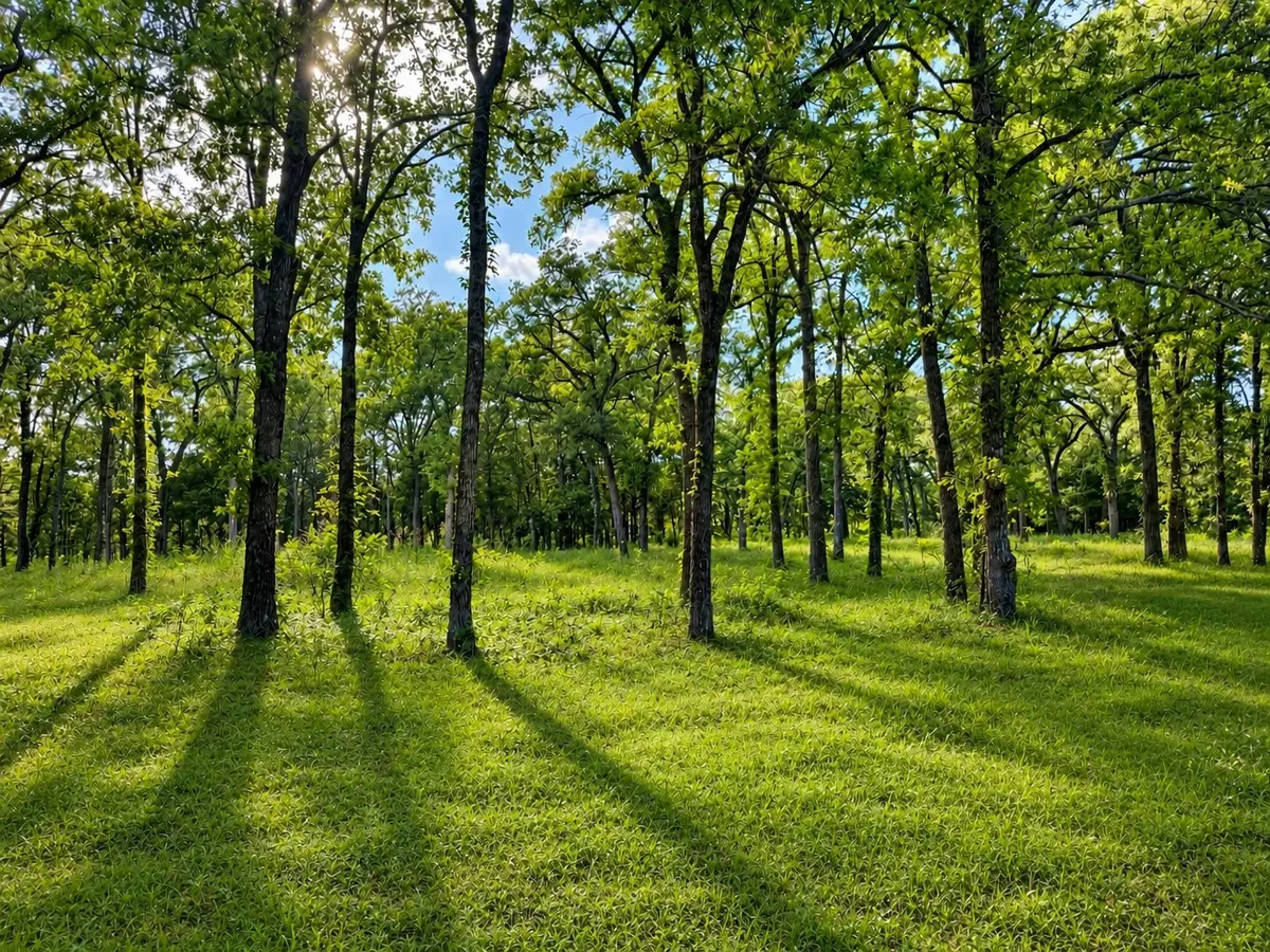 TBD County Road 1503, Point, TX 75472 - #1