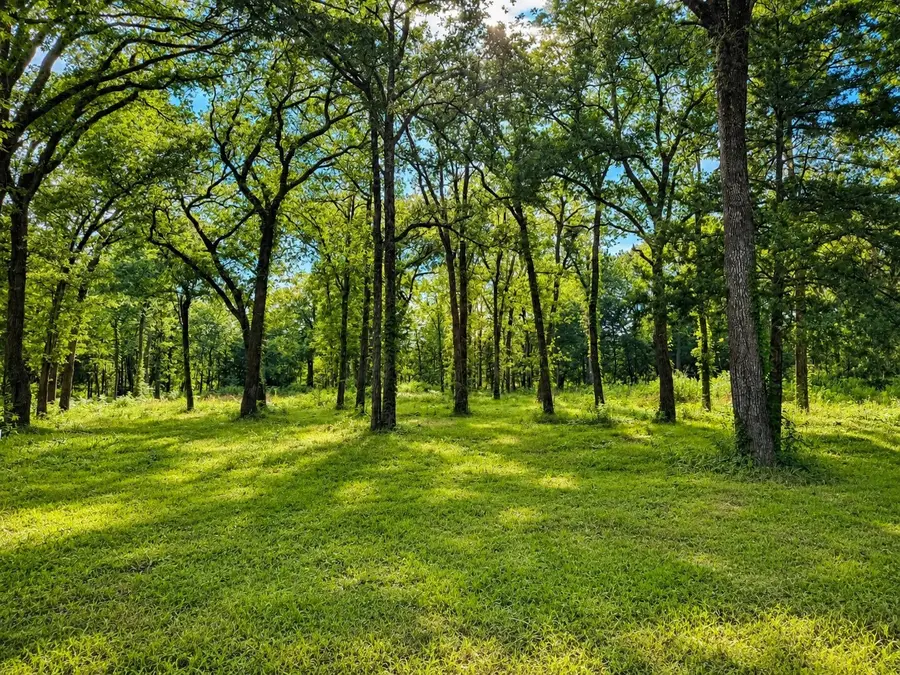 TBD County Road 1503, Point, TX 75472 - #2