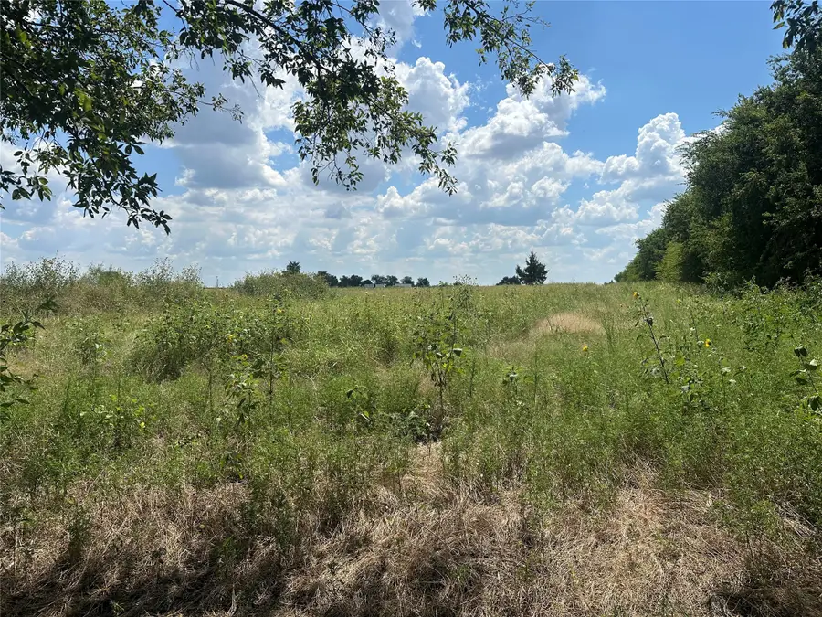 Lot 6 Rutledge Road, Whitewright, TX 75491 - #3