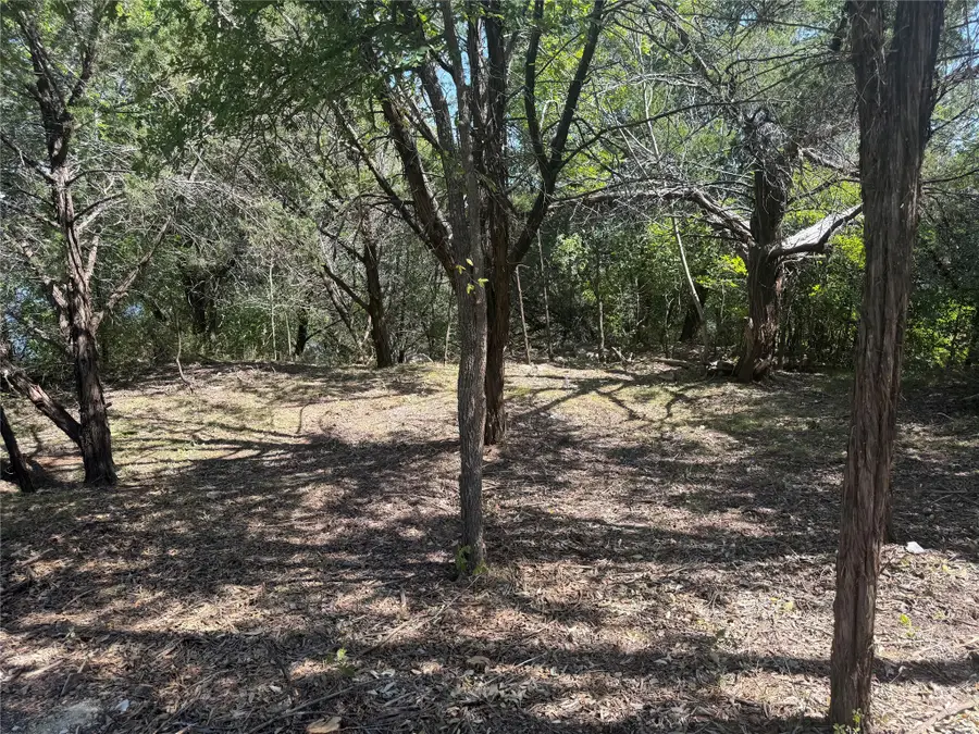 3105 San Gabriel Court, Granbury, TX 76048 - #3