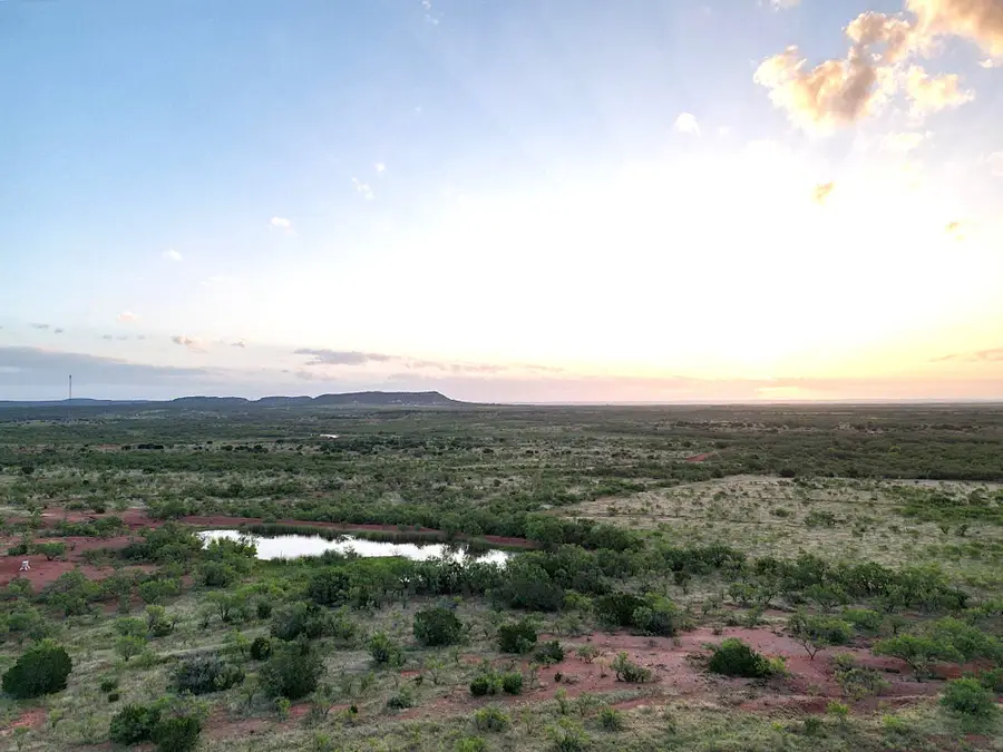 TBD Fm 604, Ovalo, TX 79541 - #2