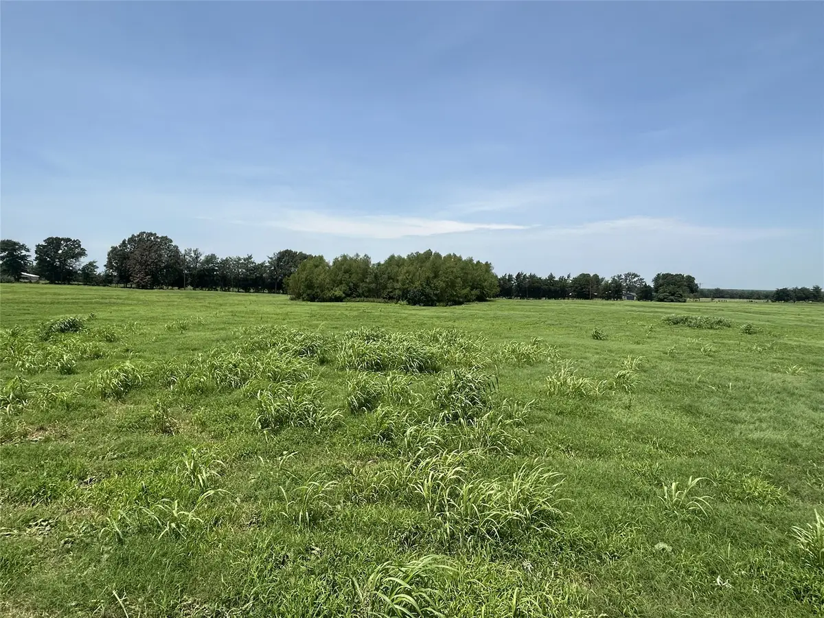 Lot 2 CR 358 Fm 900, Saltillo, TX 75478 - #1