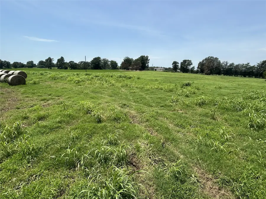 Lot 2 CR 358 Fm 900, Saltillo, TX 75478 - #2