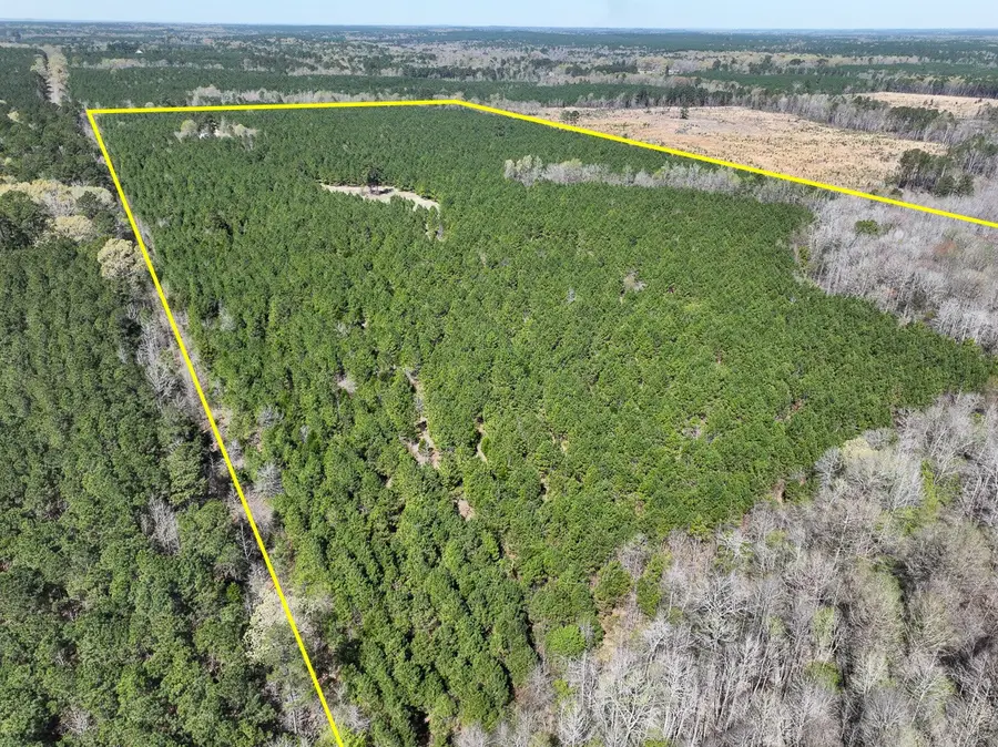 14A United Gas Road 1, Rodessa, LA 71069 - #2