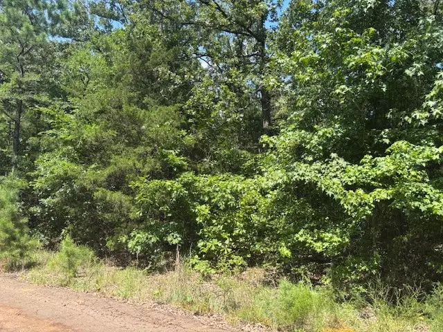 TBD Croton Lane, Mount Vernon, TX 75457 - #2