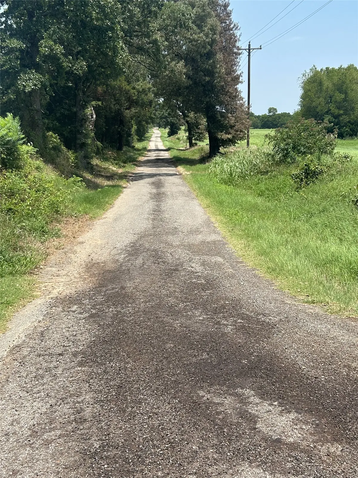 Lot 3 County Road 3358, Saltillo, TX 75478 - #1
