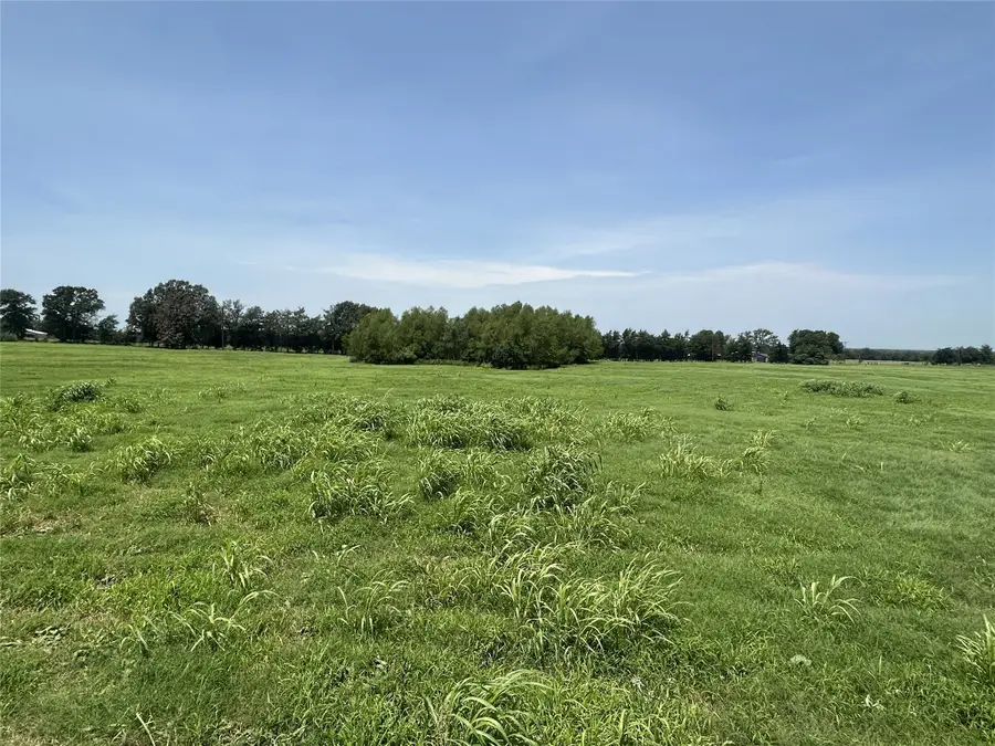 Lot 3 County Road 3358, Saltillo, TX 75478 - #2