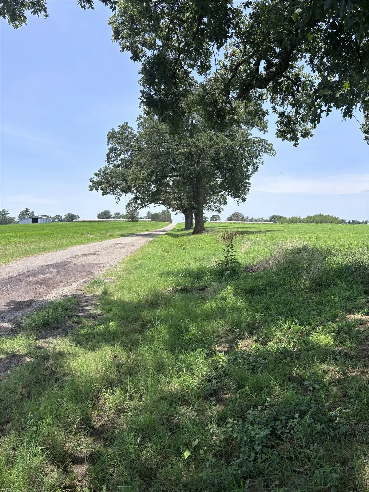 Lot 5 CR 3385 Fm 900, Saltillo, TX 75478 - #1
