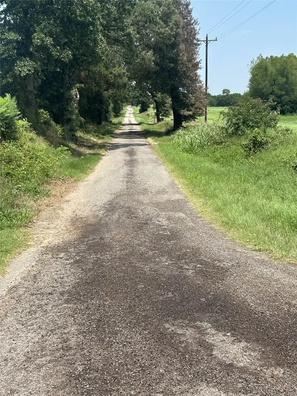 Tract A County Road 3385, Saltillo, TX 75478