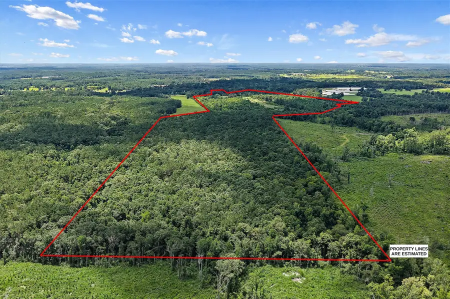 589 Us Highway 84 E, Tenaha, TX 75974 - #2