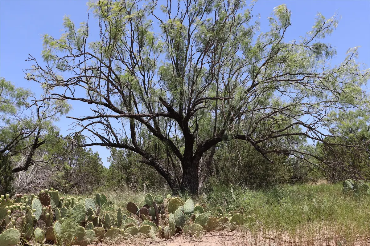 1234 RR11 Recreational Road 11, Millersview, TX 76862 - #1