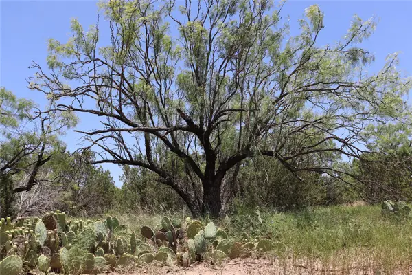 1234 RR11 Recreational Road 11, Millersview, TX 76862