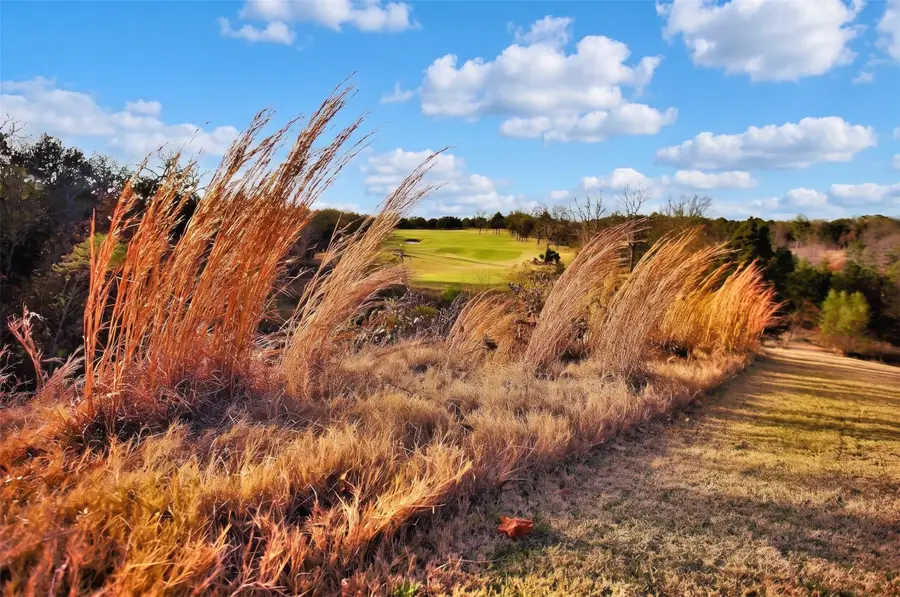 Lot 19A Valhalla Court, Gordonville, TX 76245 - #3