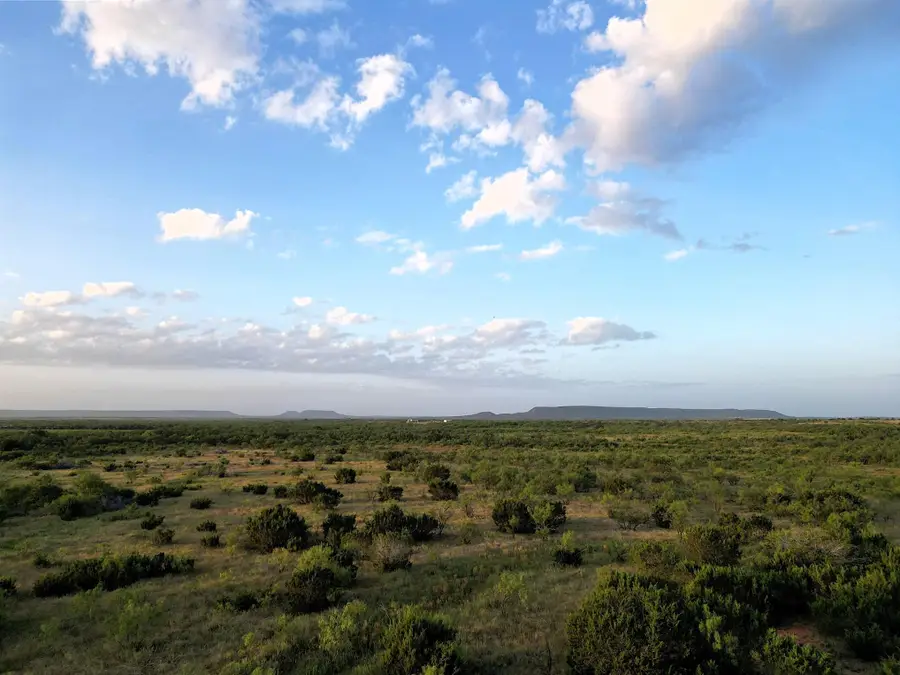 TBD Tr 5fm 604, Ovalo, TX 79541 - #3
