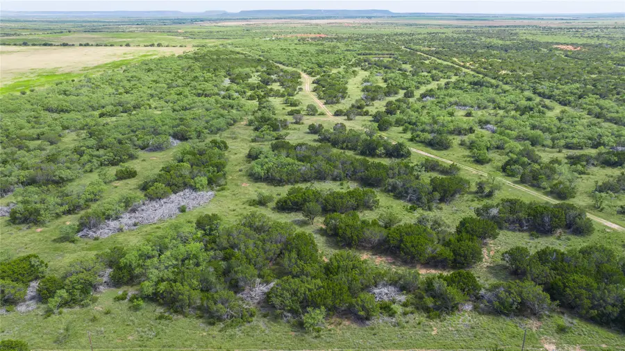 TBD Track 2 County Road 205, Ovalo, TX 79541 - #2