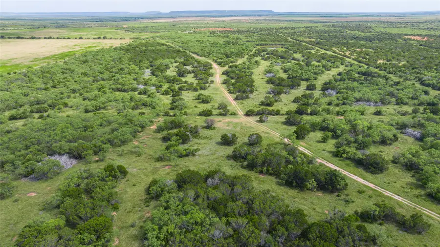 TBD Track 2 County Road 205, Ovalo, TX 79541 - #3