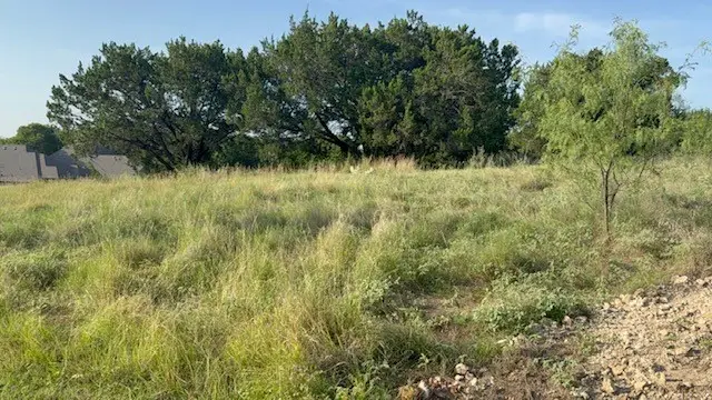 42178 Crooked Stick Drive, Whitney, TX 76692 - #2