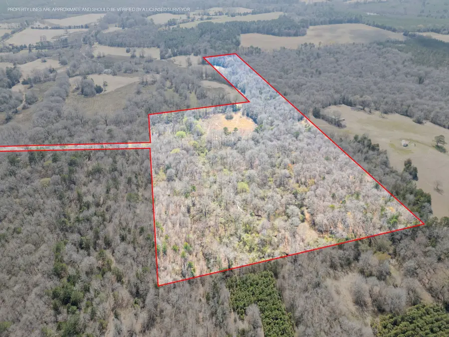 TBD Stevens Road, Marietta, TX 75566 - #3