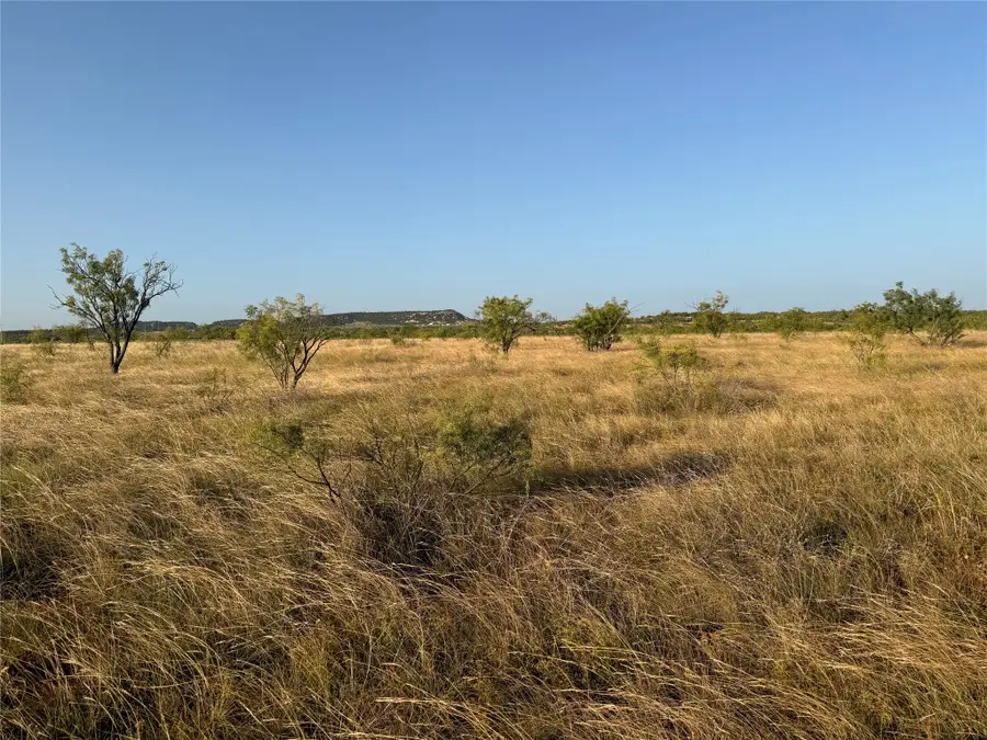 TBD Tr 6 Fm 604, Ovalo, TX 79541 - #3
