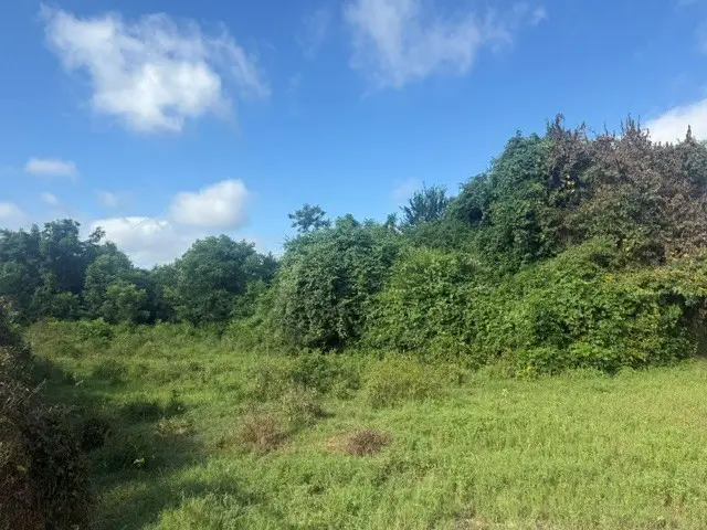 TBD N 4230 Road, Hugo, OK 74743 - #3