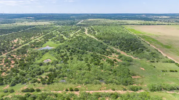 TBD Track 3 County Road 207, Ovalo, TX 79541