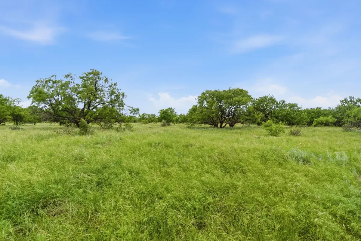 256+-Ac Fm 880, Moran, TX 76464 - #1