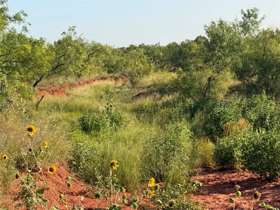 TBD Tr 7 Cr 177, Ovalo, TX 79541 - #3
