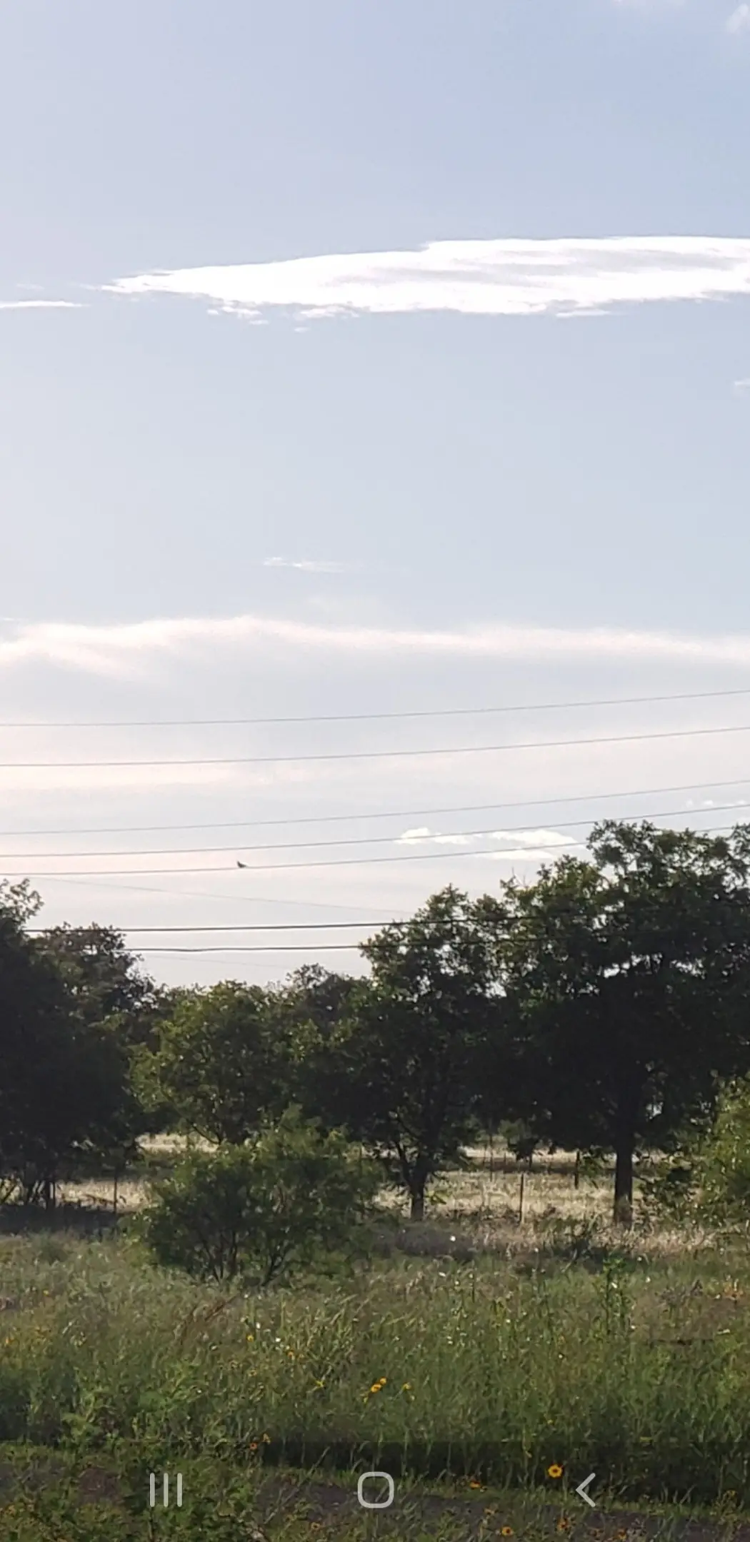 TBD County Road 183 Road, Bangs, TX 76823 - #1