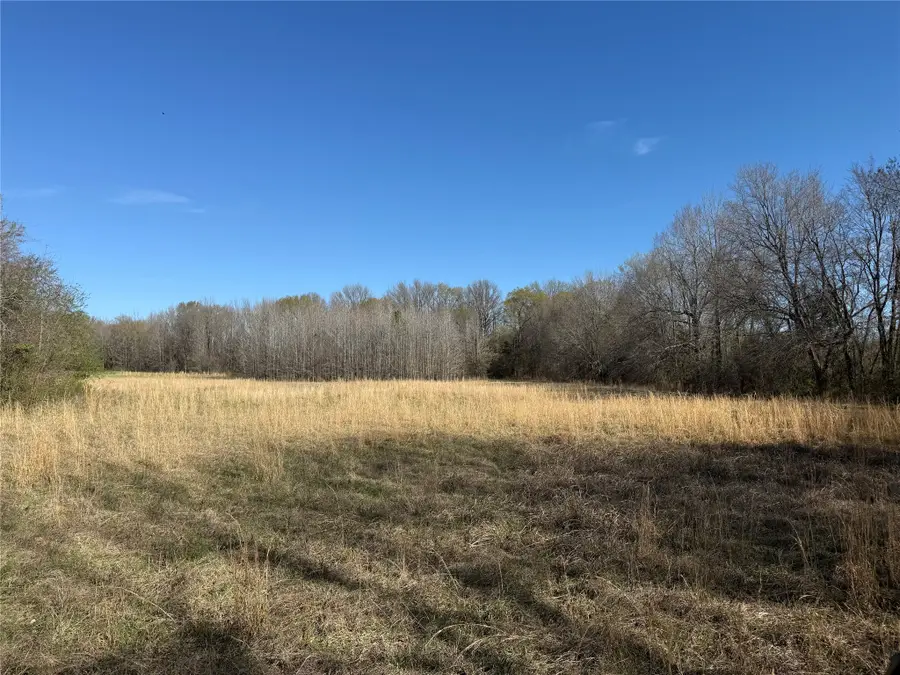 TBD County Road 44250, Powderly, TX 75473 - #3