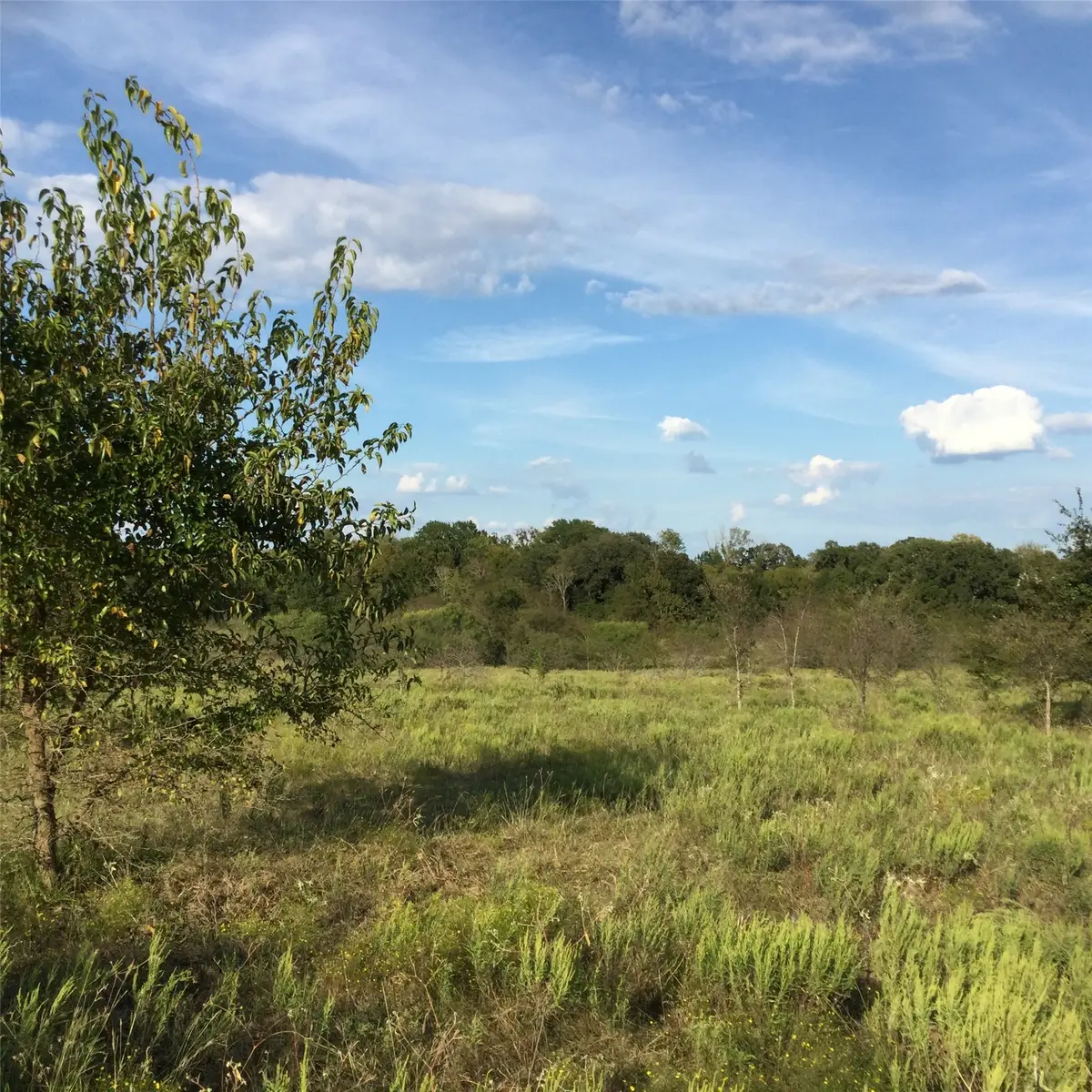 1821 State Highway 309, Kerens, TX 75144 - #1