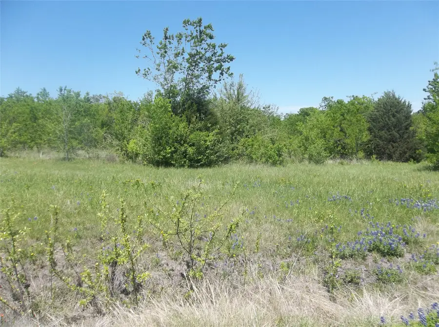 1821 State Highway 309, Kerens, TX 75144 - #2