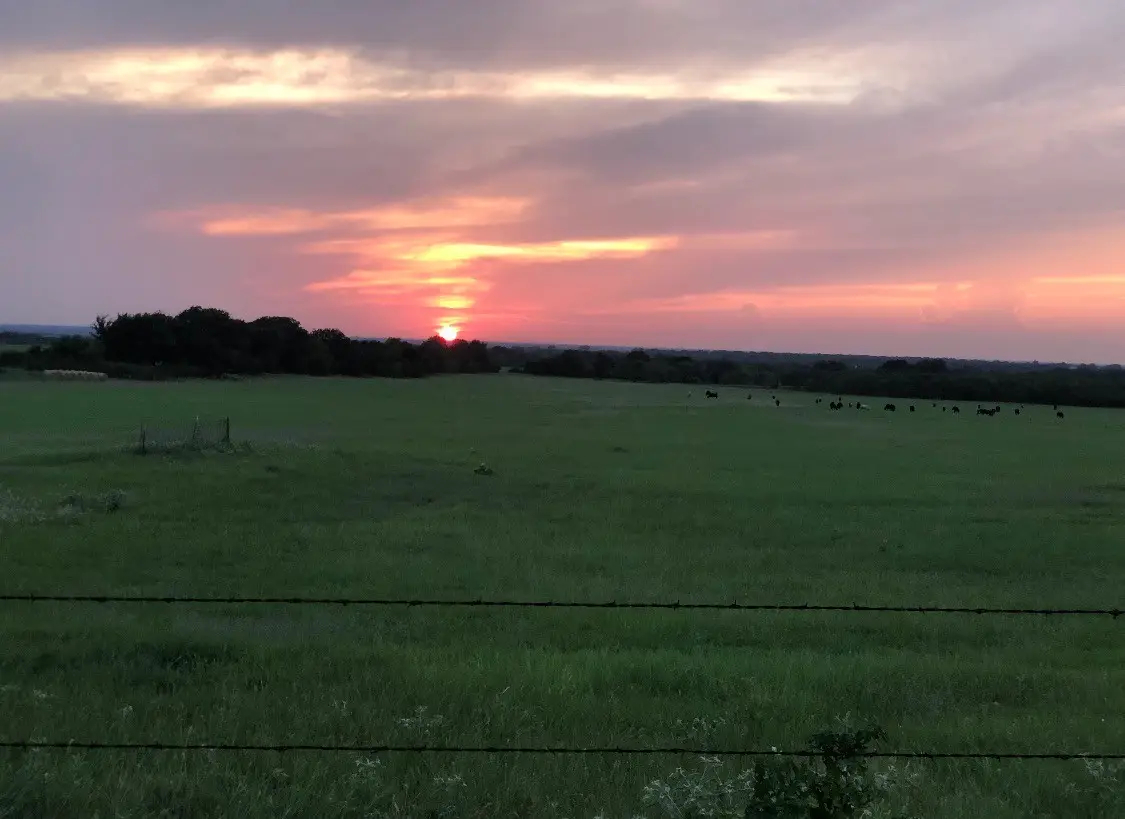 2110 Cr 362, Desdemona, TX 76445 - #1