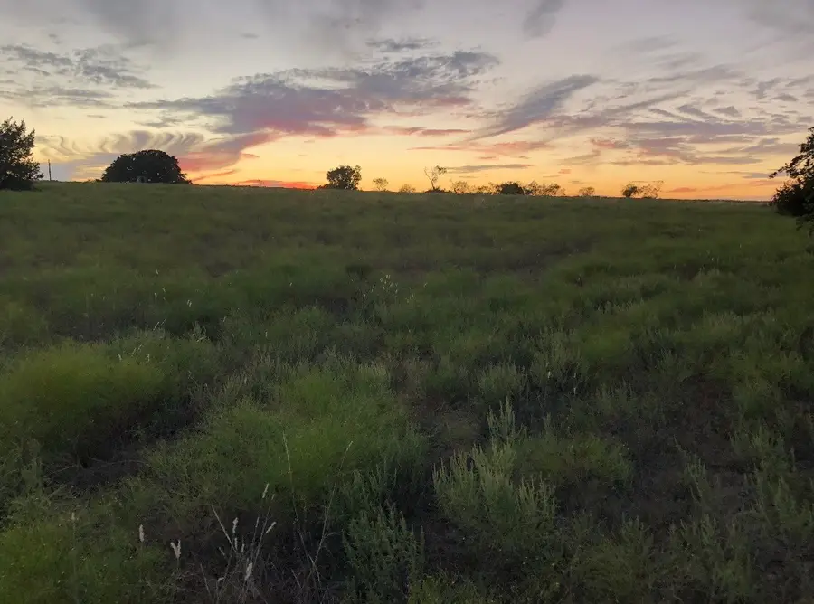 2110 Cr 362, Desdemona, TX 76445 - #2