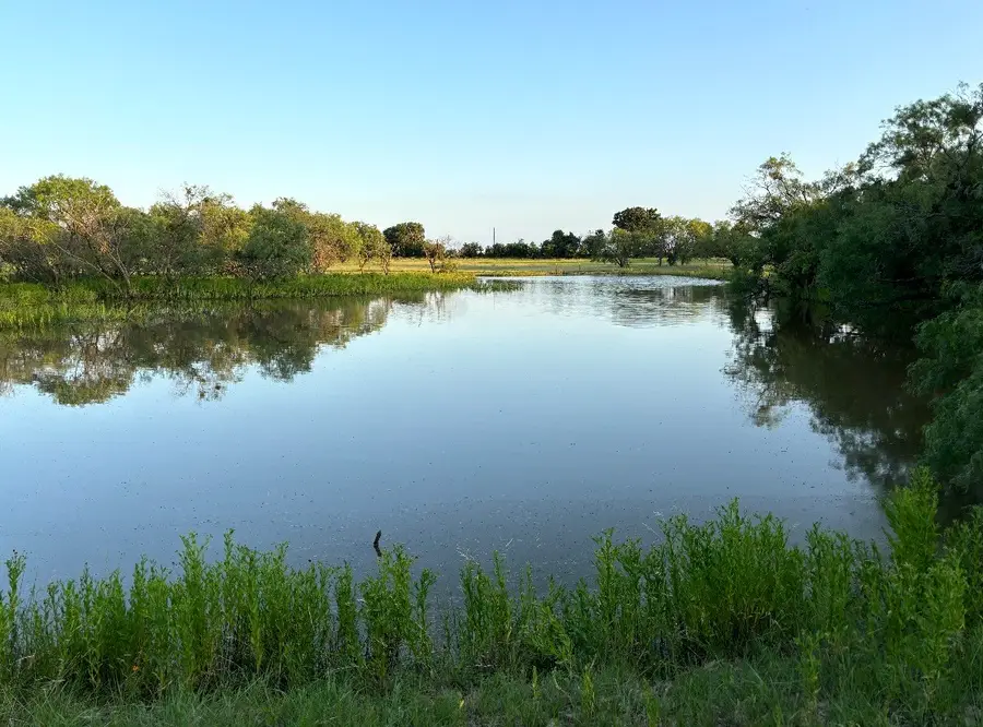 2110 Cr 362, Desdemona, TX 76445 - #3